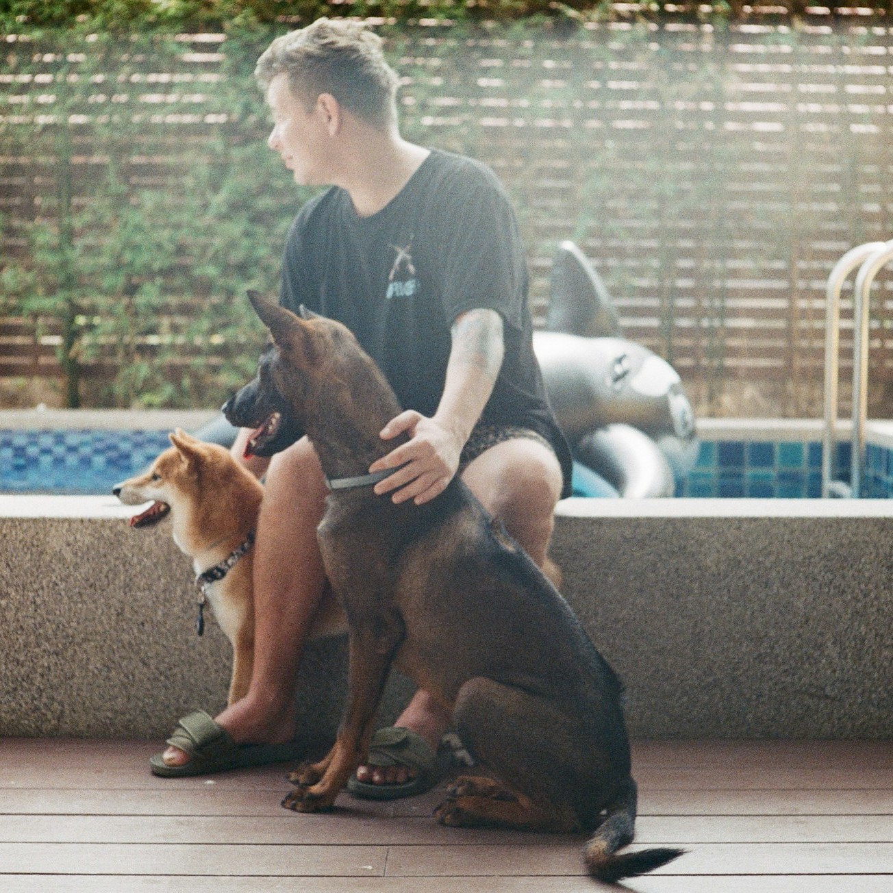 men-is-playing-with-his-pet-dogs